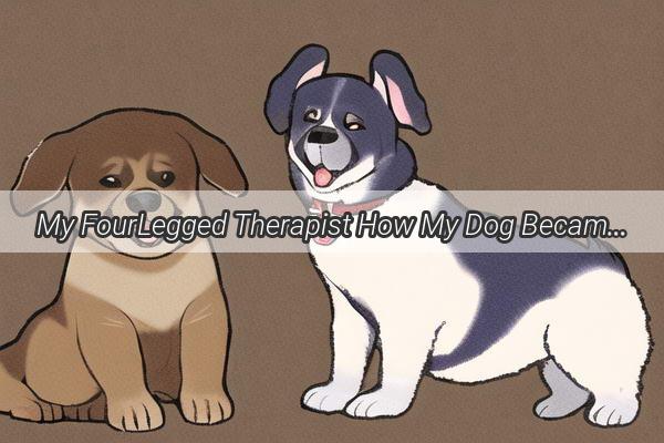 My FourLegged Therapist How My Dog Became My Spiritual Anchor